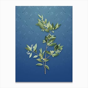 Vintage Fontanesia Phillyreoides Botanical on Bahama Blue Pattern n.1082 Canvas Print