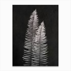 Forest Fern Leaves Black and Whtie Canvas Print