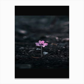 Solitary Flower Canvas Print