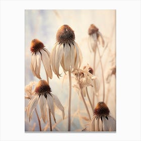 Boho Dried Flowers Coneflower 1 Canvas Print