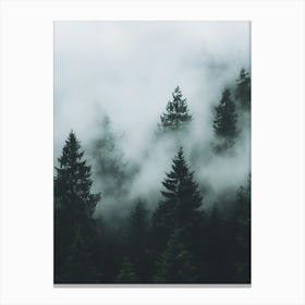 Foggy Forest 1 Canvas Print