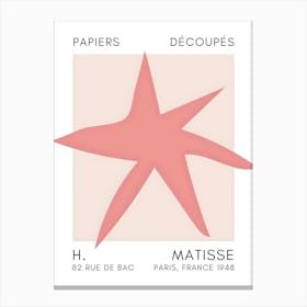 H Matisse 23 Canvas Print