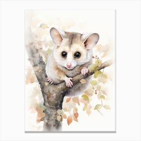 Light Watercolor Painting Of A Leadbeaters Possum 1 Canvas Print