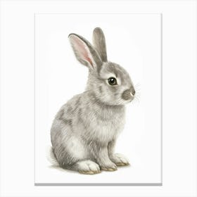 Chinchilla Rabbit Kids Illustration 3 Canvas Print
