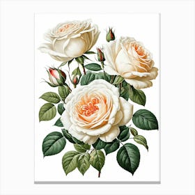 Vintage Galleria Style Rose Art Painting 14 Canvas Print