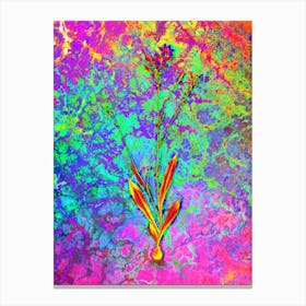 Gladiolus Junceus Botanical in Acid Neon Pink Green and Blue n.0144 Canvas Print