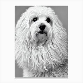 Puli B&W Pencil dog Canvas Print