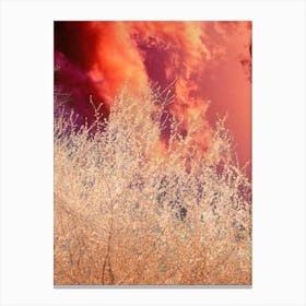 Firey Canvas Print