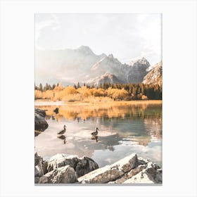 Ducks In A Lake, Italian Alps Canvas Print