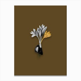 Vintage Autumn Crocus Black and White Gold Leaf Floral Art on Coffee Brown n.1087 Canvas Print