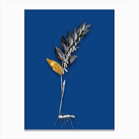 Vintage Angular Solomons Seal Black and White Gold Leaf Floral Art on Midnight Blue Canvas Print