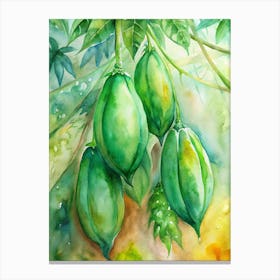 3 Bright Green Papayas Hanging From The Tree (1) Canvas Print