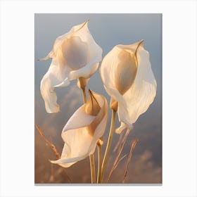Boho Dried Flowers Calla Lily 2 Canvas Print