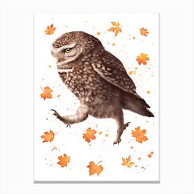 Autumn Owl Canvas Print