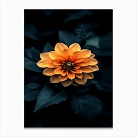 Orange Dahlia Flower 2 Canvas Print