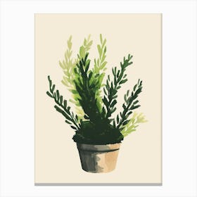 Moss Plant Minimalist Illustration 1 Canvas Print