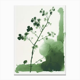 Green Ink Painting Of A Mountain Spleenwort 1 Canvas Print