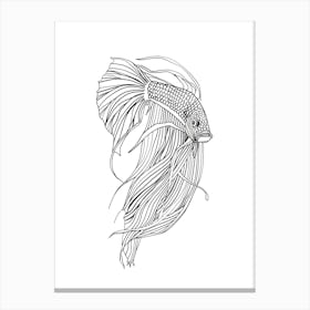 Siamese Catfish animal lines art Canvas Print