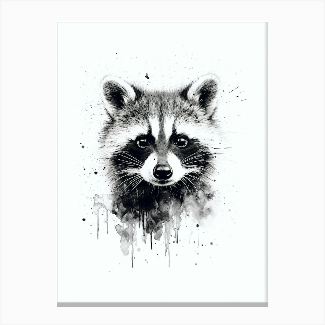 Poster Illustration Racoon Black And White Painting en carré