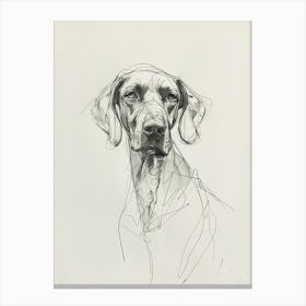 Vizsla Dog Charcoal Line 4 Canvas Print