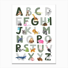 Green Alphabet Canvas Print