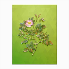 Vintage Malmedy Rose Botanical Art on Love Bird Green n.0513 Canvas Print