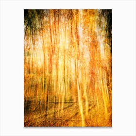 Autumn Gold Canvas Print