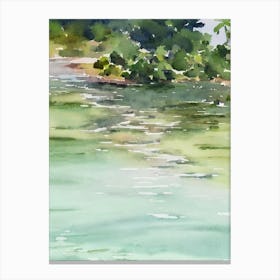 Tanjung Puting National Park Indonesia Water Colour Poster Canvas Print