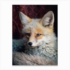 Bengal Fox Photorealistic 3 Canvas Print