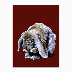 Belated Bunny On Red Oxide Canvas Print