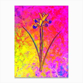 Spanish Iris Botanical in Acid Neon Pink Green and Blue n.0247 Canvas Print