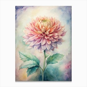 Dahlia 7 Canvas Print