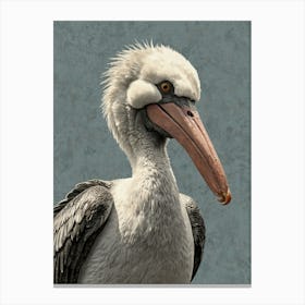 Pelican 15 Canvas Print