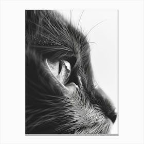 Black And White Cat Portrait 1 Canvas Print