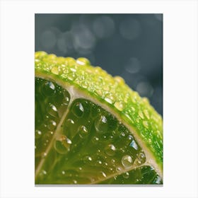 Water Droplets On Lime 4 Canvas Print