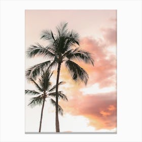 Pink Sunset Palm Trees Canvas Print