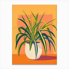 Spider Plant Minimalist Illustration 6 Canvas Print