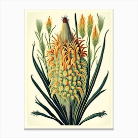 Kniphofia Floral 2 Botanical Vintage Poster Flower Canvas Print