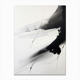 Black And White Painting Canvas Print