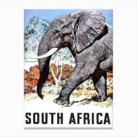 South Africa, Big Elephant Canvas Print