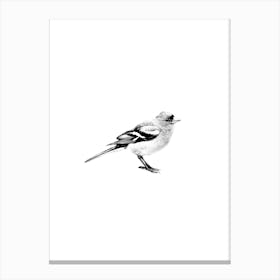 Bird Black And White Art Print Canvas Print