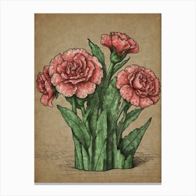 Carnations 1 Canvas Print