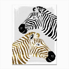 Pretty Zebras Canvas Print