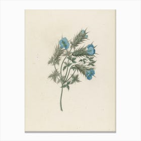 Blue Flowers 3 Canvas Print