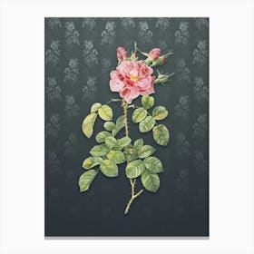 Vintage Four Seasons Rose in Bloom Botanical on Slate Gray Pattern n.0989 Canvas Print