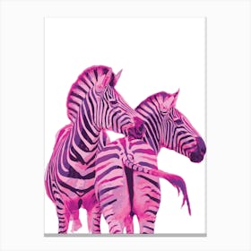 Pink Zebras Canvas Print
