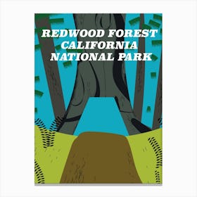 Redwood Forest California National Park Canvas Print