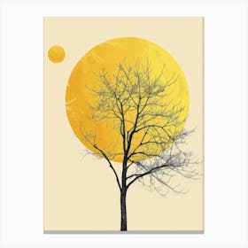 Tree In The Sun 4 Canvas Print