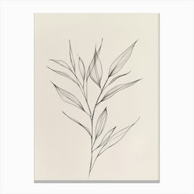 Drawing Of A Leaf 2 Canvas Print