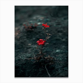 Dark Flower 11 Canvas Print